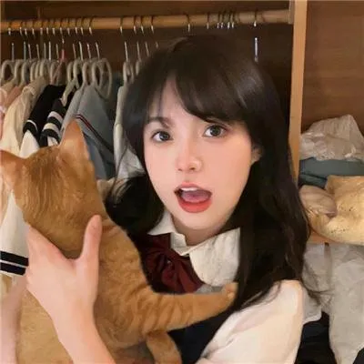 【高智商骗局】《38师机动队》徐仁国马东锡：痞子骗子联手老实公务员，花式诈骗偷税富豪